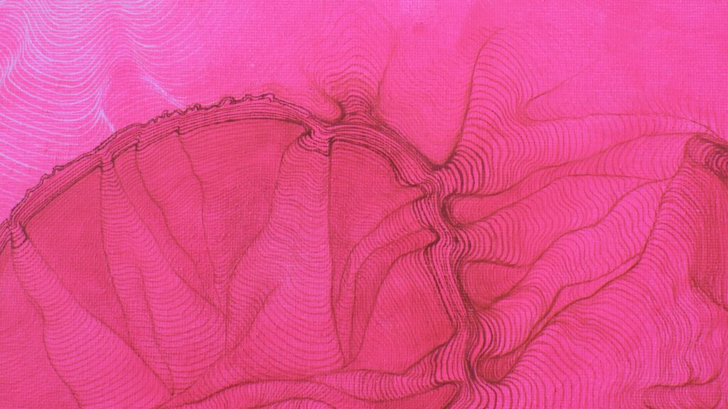 Close-up on bright neon pink painting by Ilayda Mercankaya, focusing on topographic contours.