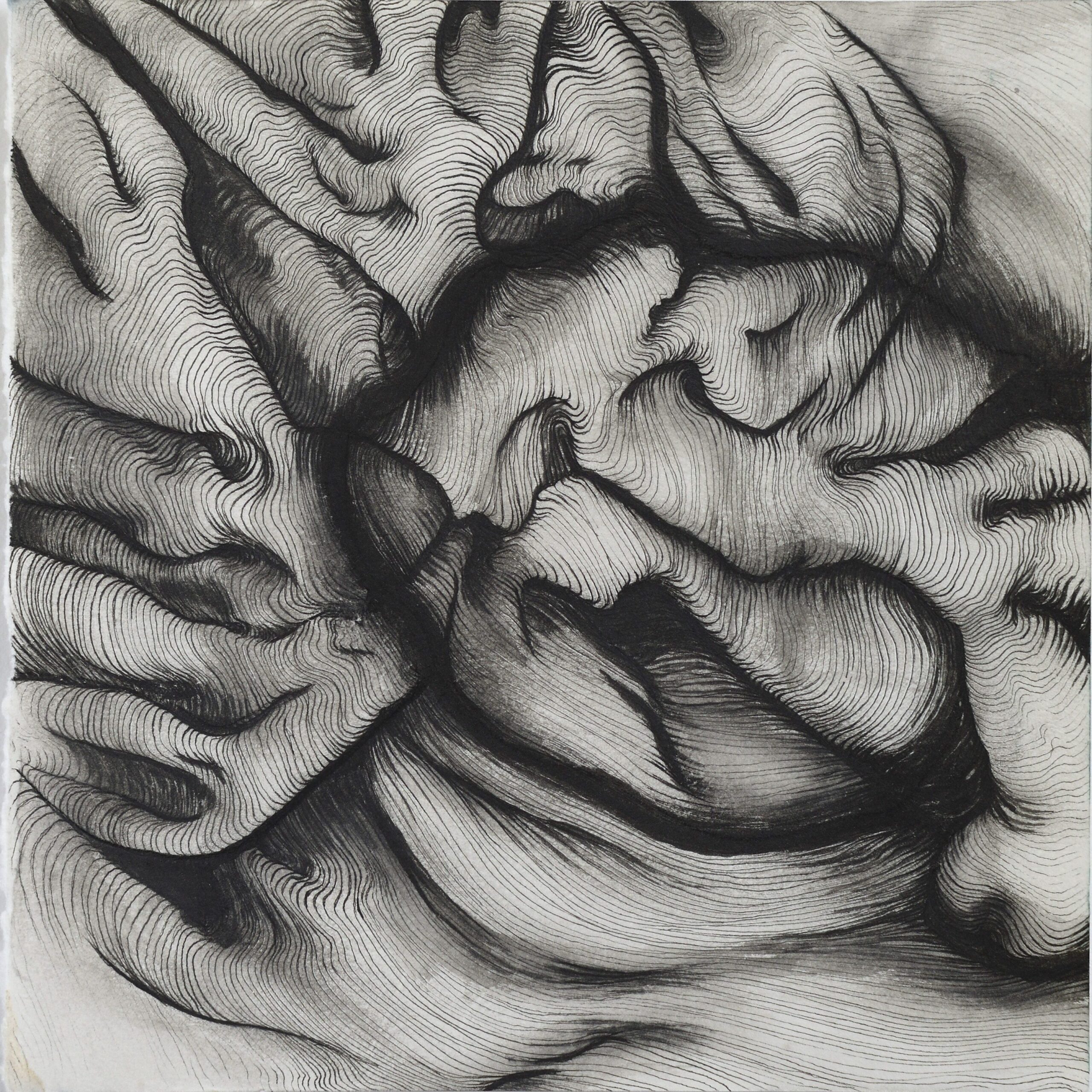 Abstract organic line art painted with Indian ink on paper, resembling topographical maps