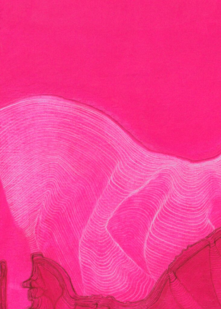 Close-up on bright neon pink painting by Ilayda Mercankaya, focusing on white and red topographic contours.