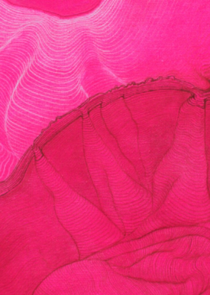 Close-up on bright neon pink painting by Ilayda Mercankaya, focusing on topographic contours.