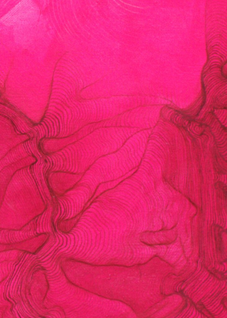 Close-up on bright neon pink painting on canvas, focusing on low-contrast topographical red lines.