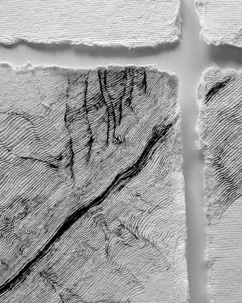 A photograph displaying four panels of artwork partially. Black, dense line work is seen on deckle edge structured paper.