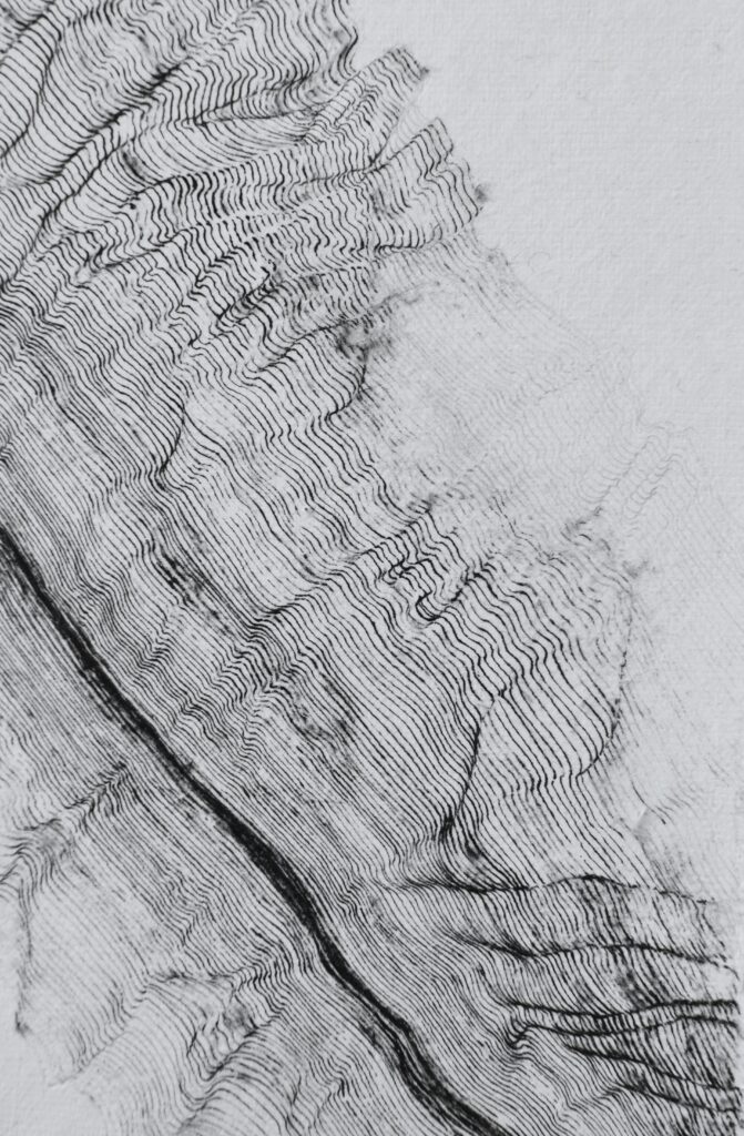 A close-up photograph of topographical, dense, line art. Lines partially dissolve on the edges. 